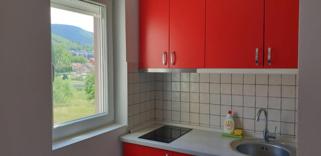 Lux Apartman Ristic 2 Sokobanja Exterior foto
